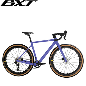 Bicicleta de grava de carbono BXT, fibra de carbono, Cable oculto completo, freno de disco de enrutamiento, colgador UDH, bicicleta de carretera, Grupo GRX RX810 - Product Image 4