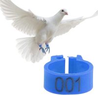 Bague de patte ouverte en plastique pour oiseaux : pinsons, canaris, pigeons
