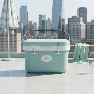 Nevera Portátil Living Ovoje de 21L, Aislada Térmicamente, Rectangular, de PP, Moderna, para Picnic, Impermeable, con Refrigeración Termoeléctrica - Product Image 1