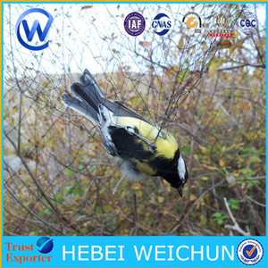Captura de aves <span class=keywords><strong>neting</strong></span>/malla tamaño 2mm plástico anti Red del pájaro - Product Image 2