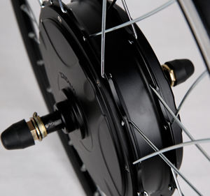 <span class=keywords><strong>Kit</strong></span> de conversion pour <span class=keywords><strong>vélo</strong></span> <span class=keywords><strong>électrique</strong></span> 48V 36V, <span class=keywords><strong>roue</strong></span> de moteur de moyeu <span class=keywords><strong>arrière</strong></span> 350w, contrôleur BLDC 48v 500w, moteur à courant continu sans balais 1 ou 2 ZC - Product Image 6