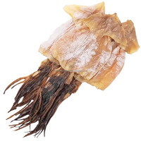 Calmar séché entier, délicieux et moelleux, saveur naturelle de la mer, excellent en-cas riche en protéines, approvisionnement en vrac.