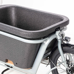 Buje trasero de bicicleta de carga eléctrica de fábrica 48V500W Motor 2 ruedas Carry Kids Goods Box <span class=keywords><strong>Cargo</strong></span> Ebike - Product Image 6