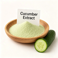 Poudre d'extrait de concombre naturel de qualité alimentaire, soluble dans l'eau, pour boissons et ingrédients cosmétiques, fournie par l'usine