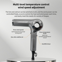 Sèche-cheveux professionnel de salon 1600W Super Sonic avec diffuseur, haute puissance, ions négatifs pour hôtels, voyages, voiture, usage direct