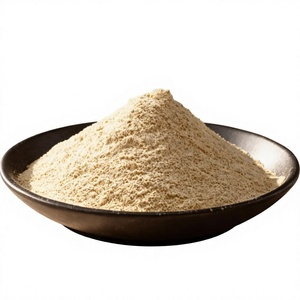Harina Fina de Fruta del Pan Blanca, Harina de Fruta del Pan Caribeña, Polvo de Ulu Seco, Agente Adhesivo para Masa de Pan Ulu Hawaiano, OEM - Product Image 1