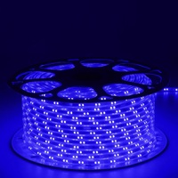 L'éclairage de bande flexible blanc chaud blanc bleu violet a mené des lumières de bande de LED de double rangée/bande lumineuse menée