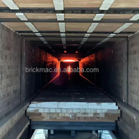 Four tunnel pour la cuisson de carreaux de céramique, de clinker et de briques rouges, machine de fabrication de briques, four à gaz et à charbon, Maquina De Ladrillos De Arcilla NJBM