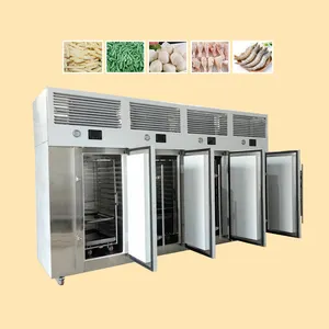 TCAチキンレッググリーンピースエビニンニク小型工業用冷凍庫食品餃子魚ブラスト冷凍庫