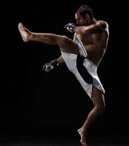 Short d'entraînement de combat MMA Grappling Jiu Jitsu Arts martiaux BJJ - Product Image 3