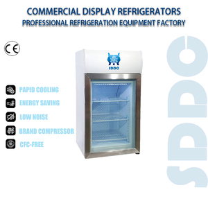 Mini-réfrigérateur de bar pour boissons, vitrine réfrigérée pour bouteilles de bière, congélateur - Product Image 2