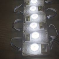 Modules LED 220V Modules d'injection de lumière Mini LED pour panneaux d'affichage Boîte de publicité Rétro-éclairage Pixel Lettre Signe