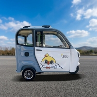 Tricycle électrique entièrement fermé à 2 portes, cabine fermée, 3 roues, véhicule électrique pour adultes, pour les trajets familiaux
