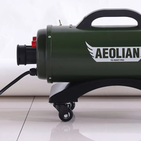 Séchoir soufflant portable de luxe pour l'entretien automobile, avec air chaud, équipement de detailing moderne pour le lavage et le séchage des voitures