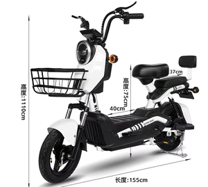 Vélo Électrique 500W 48V 20Ah avec Cadre en Acier Carbone 3S et Moteur Brushless, Longue Portée, <span class=keywords><strong>Transport</strong></span> <span class=keywords><strong>de</strong></span> <span class=keywords><strong>Personnes</strong></span>, E-Bike pour Adultes - Product Image 1
