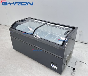 Commercial Chest Freezer Display Double Door Design Large Capacity for Supermarket Warehouse Store and Cold Chain Delivery Ho - Product Image 1