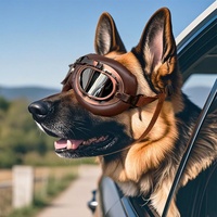 Prêt à expédier Lunettes de soleil vintage pour chien, coupe-vent, protection UV, pliables, avec rembourrage doux pour grands chiens, pour l'extérieur, vente en gros