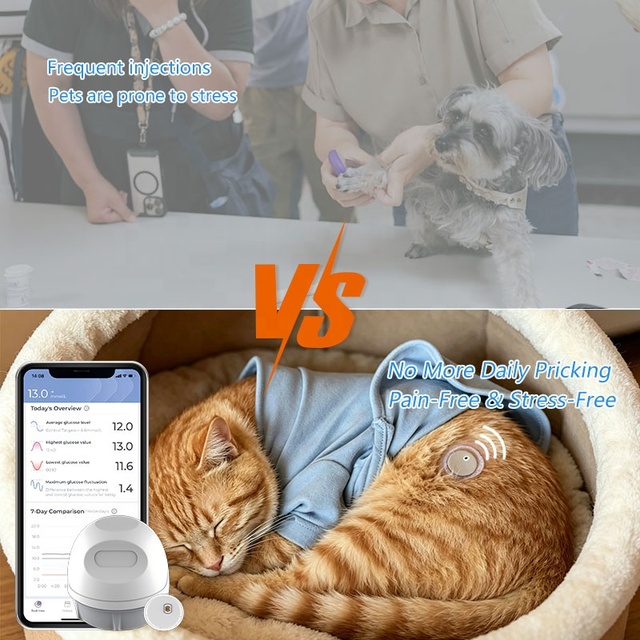 2026 New Arrival High Precision Professional Veterinary CGM Continuous Glucose Monitor Dogs Cats 9-Day Monitoring System IP X8