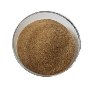 Fornecimento de Extrato Natural Orgânico de Quillaja/Extrato de Quillaja Saponaria em Pó de Alta Qualidade - Product Image 2
