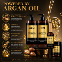 Kit de Cuidado Capilar con Aceite de Argán al por Mayor, Champú de 500 ml, Acondicionador de 250 ml, Mascarilla Capilar de 100 ml, Suero para Marcas de Belleza, Suministro OEM de Fábrica