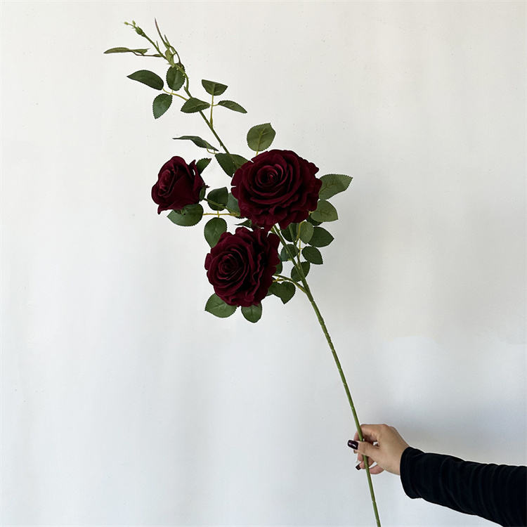 มณฑลเบอร์กันดี