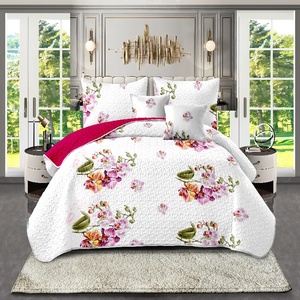Nhà Máy Trực Tiếp Sợi Nhỏ Quilted Trải Giường Coverlet Đôi Thiết Lập Chắp Vá Rèm Cửa Vua Kích Thước Bộ Đồ Giường Khăn Trải Giường Coverlets - Product Image 3