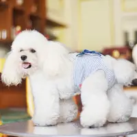 Huisdier Veiligheid Vrouwelijke Fysiologische Hond Luiers Wasbare Ademende Broek Ondergoed