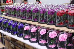 Rosas Preservadas Eternas Encantadas en Cúpula de Cristal con Luz LED, Flores Preservadas para Siempre - Product Image 6