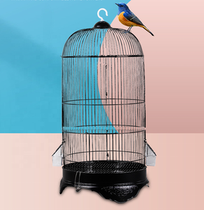 Toptan benzersiz tarzı demir Metal yuvarlak kanarya kuş kafesi ofis ev bahçe için kapalı açık papağan kafesleri satılık - Product Image 2