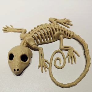 Halloween Horror Calavera Animal Articulaciones móviles <span class=keywords><strong>Esqueleto</strong></span> Murciélago Araña Escorpión <span class=keywords><strong>Rata</strong></span> Serpiente Casa embrujada Accesorios Sapo <span class=keywords><strong>Esqueleto</strong></span> - Product Image 3