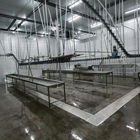 Ligne d'abattage automatique industrielle pour volailles en acier inoxydable, équipement de traitement de la volaille pour abattoir de canards et d'oies