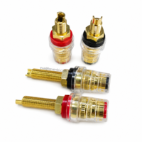 Bevenbi Bornes de liaison audio haut de gamme en cuivre pur plaqué or avec blindage EMI pour amplificateurs Hi-Fi et systèmes audio