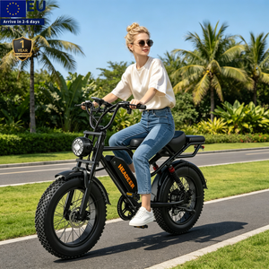 Bicicleta eléctrica urbana con neumáticos gruesos de 20 pulgadas, 750w, 48V, 20ah, de largo alcance, con asiento trasero, modelo HEADEER BK20, compatible con la aplicación, desde el almacén de la UE/Reino Unido. - Product Image 1