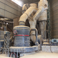 Broyeur Raymond ultrafin 3-50 Tph avec roulement et engrenage pour le traitement de la pierre/du gypse/de la craie/du talc/du minerai de fer, nouveau moteur