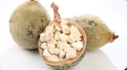 Extracto de Fruta de Baobab en Polvo (Cultivo Artificial) Rico en Antioxidantes para el Apoyo Inmunológico y la Salud Diaria - Product Image 5