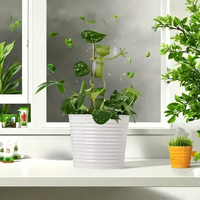Support de plante en plastique léger et durable pour tomates, accessoires de jardinage, pots de jardin d'intérieur, jardinières, vignes
