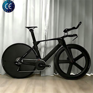 Bicicleta de Triatlón KOZO de Fibra de Carbono, Frenos de Disco, Cambio Electrónico de 2x12 Velocidades, Ruedas de Cinco Radios, Bicicleta TT de Rueda Cerrada WHL-K - Product Image 1