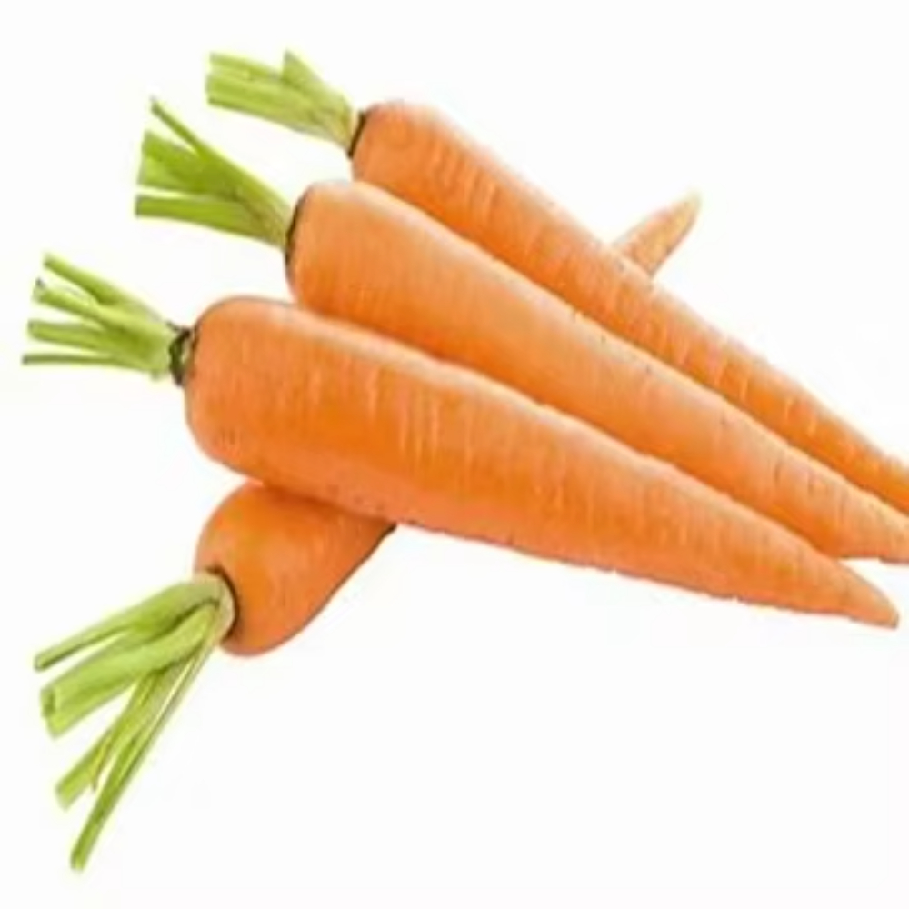 Supply Fresh Carrots Now at Best Prices Sweet and Moist Flavor with Attractive Orange Color Come and Buy