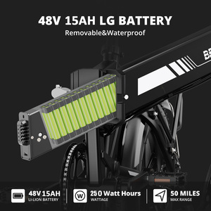 Самый продаваемый 20-дюймовый электровелосипед для взрослых с бесщеточным двигателем 250 Вт, 48 В, 15 Ач, из алюминиевого сплава - Product Image 2