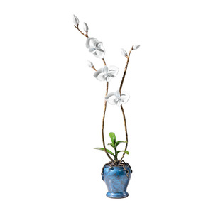 Adorno de Orquídea Phalaenopsis de Cobre Tong Jin Sui Yue, Decoración Minimalista para el Hogar, Bonsái para Sala de Estar, Arte y Artesanía - Product Image 5