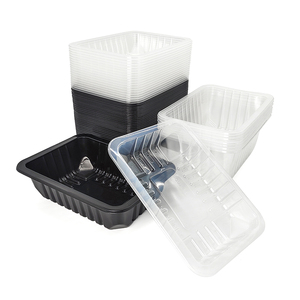 Barquette <span class=keywords><strong>alimentaire</strong></span> jetable en PP pour l'emballage de viande fraîche, barquette en plastique de qualité <span class=keywords><strong>alimentaire</strong></span>, emballage en blister pour l'affichage en supermarché - Product Image 5