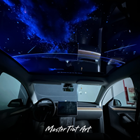 Film de toit ciel étoilé pour voiture de luxe, film à motif photoélectrique intégré OMTD pour toit panoramique