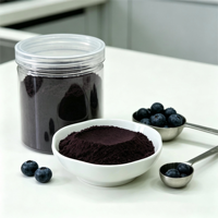 Fabrieksgroothandel Bulk Gedroogd Blauwe Bosbessenpoeder Hoge Kwaliteit Gedroogd Blauwe Bosbessen Sap Poeder