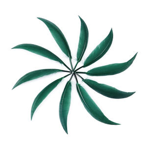 Bán Buôn 10-15 Cm Nhuộm Ngỗng Bay Cánh Lông Lông Lông Tự Làm Thủ Công Mỹ Nghệ Nhà Máy Sản Xuất Vải Bút Trang Phục Couture Bó Hoa Cưới Lông - Product Image 3