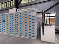 Deshidratador Industrial de Aire Caliente de Alta Eficiencia Energética para Verduras y Frutas, Cámara de Secado para Cebolla, Ajo, Mango y Pimiento