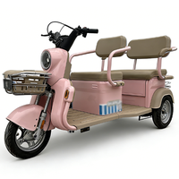 Özel Dönüşüm Kiti 60V 750W Golf Yetişkin İki Kişilik Üç Tekerlekli Elektrikli Bisiklet Üç Tekerlekli Bisiklet
