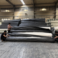 Tissus non tissés durables d'agrafe de géotextile de fibre courte d'ANIMAL FAMILIER de pp pour la filtration et le drainage de stabilisation de sol