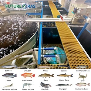 Système complet d'aquaculture Ras pour l'élevage de crevettes, de tilapias et de saumons en eau douce, équipement intelligent automatisé pour l'eau salée - Product Image 1