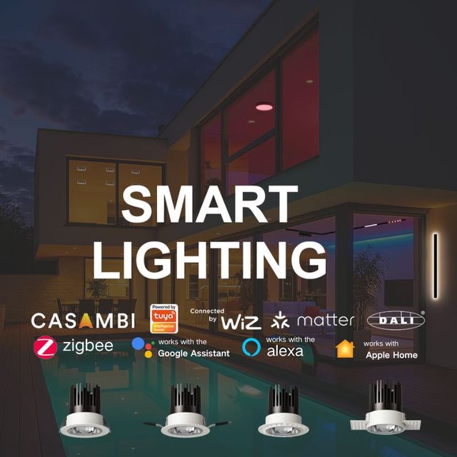 Customizable Downlights Recessed Led Dimmable Zigbee Tuya Tunable Dali Triac Dmx Intelligent Spotlight Downlight Smart Downlight