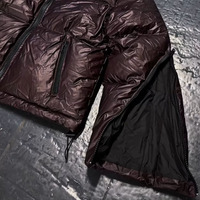 Blouson matelassé thermochromique réactif à la chaleur pour homme, effet brillant, couleur changeante, manteau d'hiver à bulles, sweat à capuche entièrement zippé, Techwear rouge